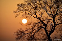 /album/photo-gallery-silhouette/%e6%97%a5%e3%81%ae%e5%87%ba%e3%81%ae%e3%82%b7%e3%83%ab%e3%82%a8%e3%83%83%e3%83%88%e3%80%80%ef%bd%9e%e6%ad%93%e5%96%9c%ef%bd%9e-jpg/